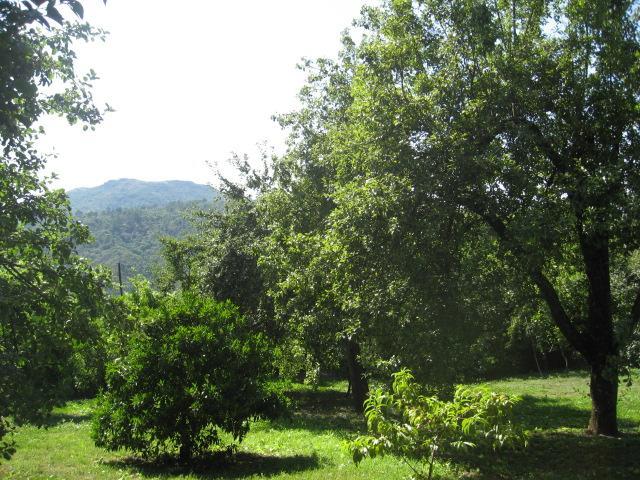 קאבקסיירס דה באסטו Casa De Carcavelos מראה חיצוני תמונה